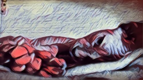 002 Patrizia Bertola