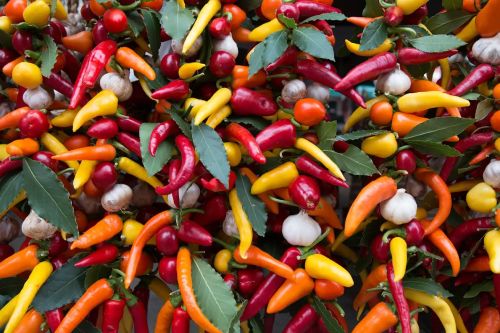 026 Alessandra Ballarin