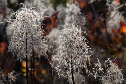 028 Alessandra Ballarin