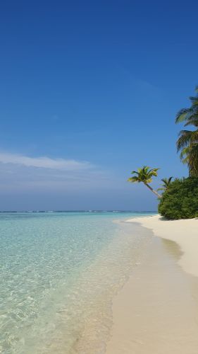 029 Matteo Sangiorgi