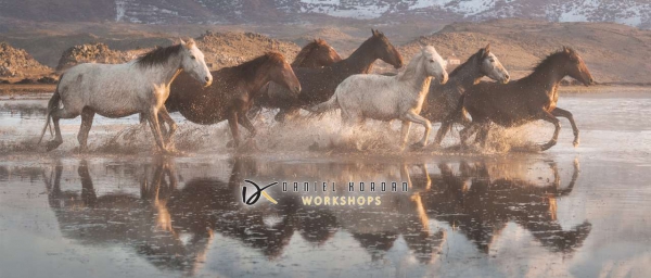 Daniel Kordan per la Schmidt 2020