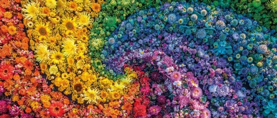 La collezione coloratissima della Clementoni 2021