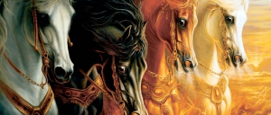 I Cavalli della Anatolian 2021