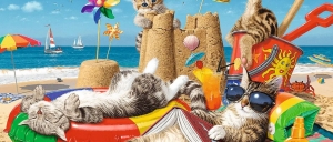 Linea "Hidden Shapes" by Trefl 2023