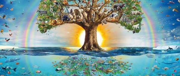 Adrian Chesterman &amp; Schmidt