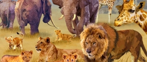 François Ruyer per Bluebird 1500 pezzi